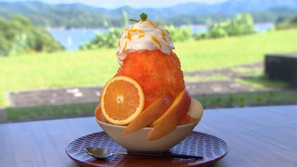 熊本 天草 天草ビジターセンター カフェ・カーニャ 島氷 かき氷