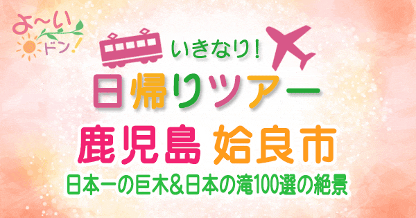 よーいドン いきなり日帰りツアー 鹿児島 姶良市