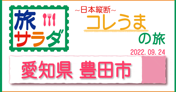 旅サラダ コレうま 愛知県 豊田市