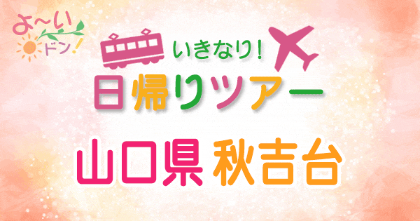 よーいドン いきなり日帰りツアー 山口 秋吉台