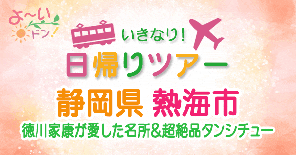 よーいドン いきなり日帰りツアー 静岡 熱海