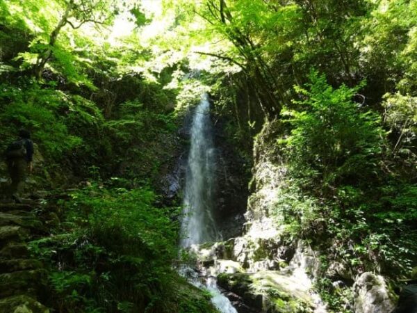 東京都 檜原村 払沢の滝 日本の滝100選