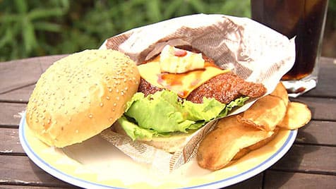 マツコの知らない世界 道の駅 ご当地バーガー 下田バーガー