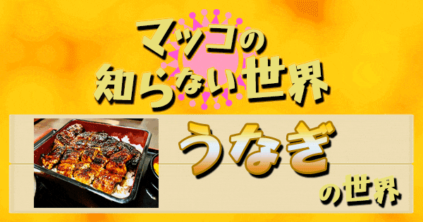 マツコの知らない世界 うなぎ