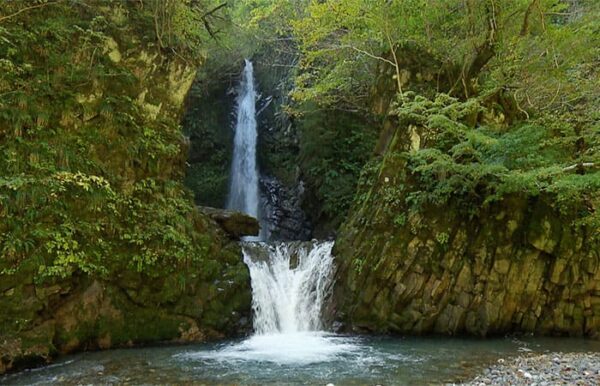 鳥取 琴浦町 大山滝