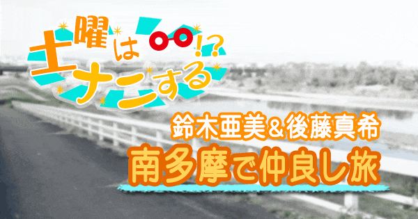 土曜はナニする 日帰り ぷらっとりっぷ 南多摩 鈴木亜美 後藤真希