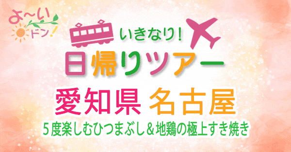 よーいドン いきなり日帰りツアー 愛知県 名古屋市