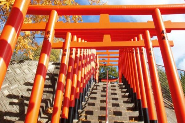 よーいドン いきなり日帰りツアー 広島 三原