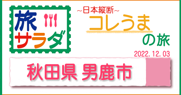 旅サラダ コレうま 秋田市 男鹿市