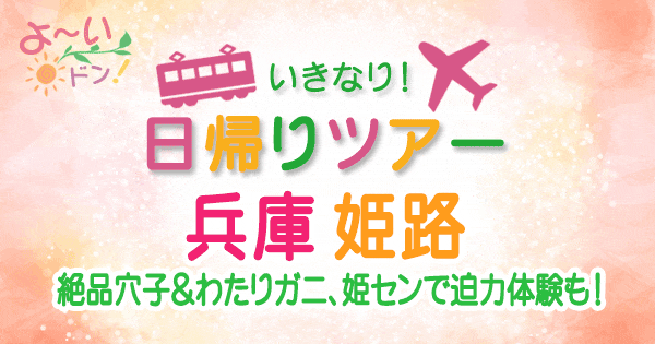 よーいドン いきなり日帰りツアー 兵庫 姫路