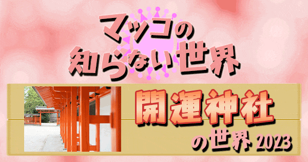 マツコの知らない世界 開運神社 2023 卯年 うさぎ