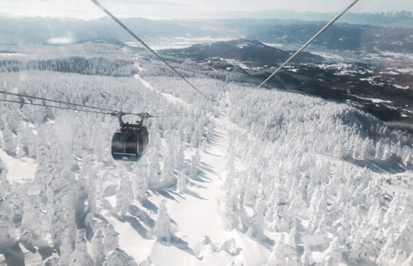 山形蔵王温泉スキー場 樹氷