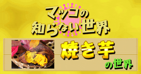 マツコの知らない世界 焼き芋