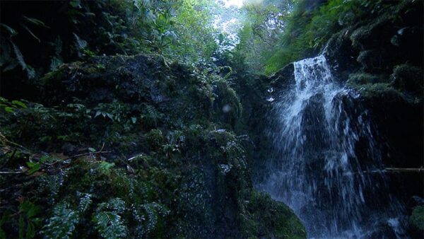 東京 八丈島 神の三段の滝