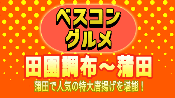 ベスコングルメ 蒲田 鳥万 本店 若鶏の唐揚げ