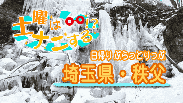 土曜なナニする 日帰り ぷらっとりっぷ 埼玉 秩父