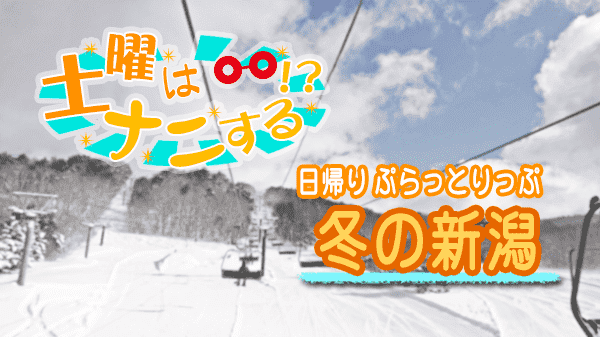 土曜なナニする 日帰り ぷらっとりっぷ 新潟 原田龍二 磯山さやか