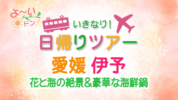 よーいドン いきなり日帰りツアー 愛媛県 伊予