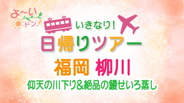 よーいドン いきなり日帰りツアー 福岡 柳川