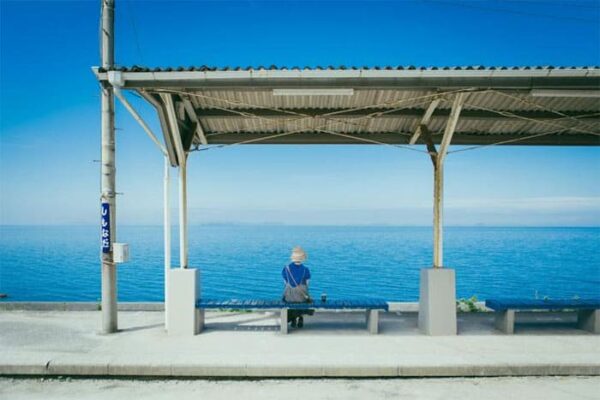 よーいドン いきなり日帰りツアー 愛媛県 伊予