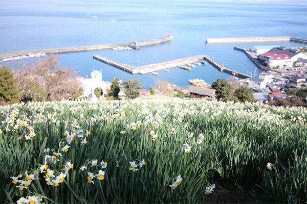 よーいドン いきなり日帰りツアー 愛媛県 伊予