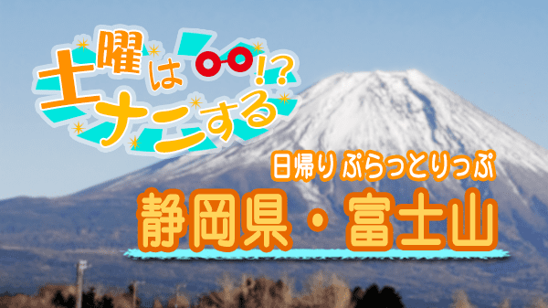 土曜はナニする 日帰り ぷらっとりっぷ 静岡県 富士山