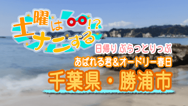 土曜はナニする 日帰り ぷらっとりっぷ 千葉県 勝浦市 あばれる君 オードリー 春日