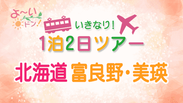 よーいドン いきなり日帰りツアー 1泊2日ツアー 北海道 富良野 美瑛