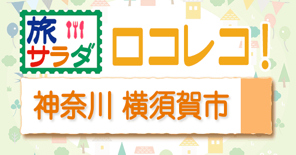 旅サラダ ロコレコ 神奈川県 横須賀市