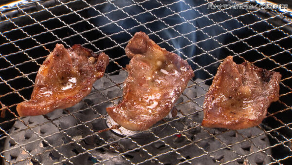 バナナマンのせっかくグルメ 島根県 松江市 焼肉 きたがき