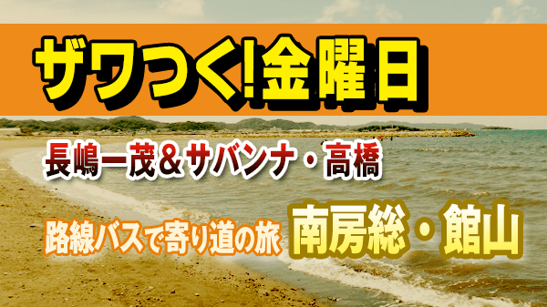 ザワつく！金曜日 路線バスで寄り道の旅 南房総 館山 長嶋一茂 サバンナ 高橋