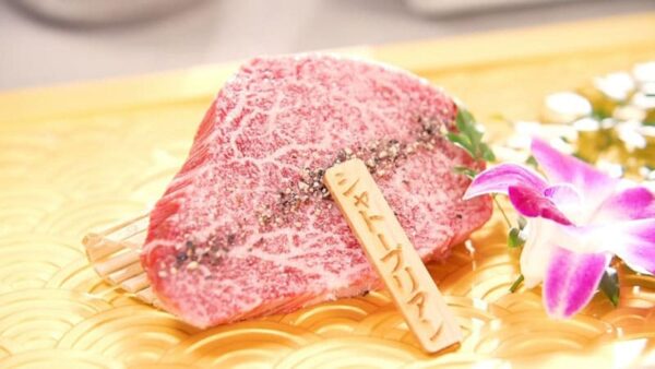 ベスコン グルメ 埼玉 大宮 完全個室焼肉 OBORO 黒毛和牛 シャトーブリアンステーキ