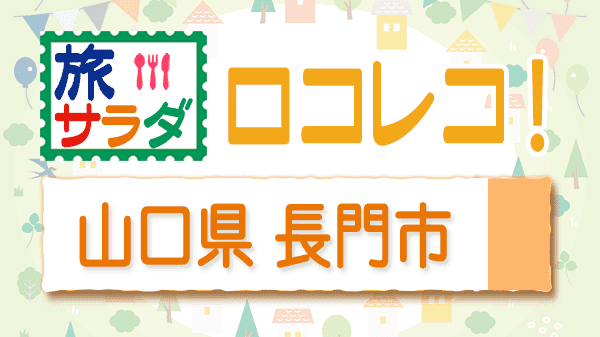 旅サラダ ロコレコ 山口県 長門市