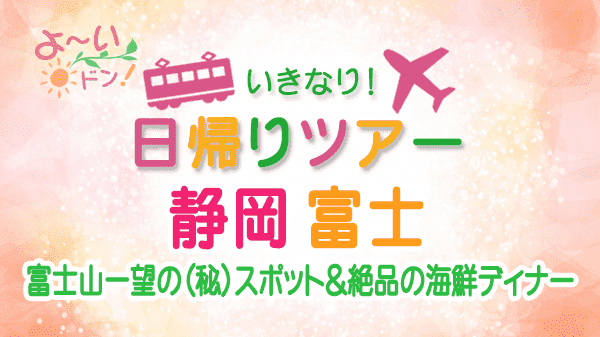 よーいドン いきなり日帰りツアー 静岡 富士