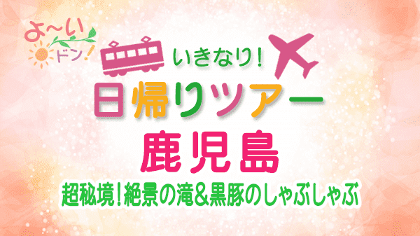 よーいドン いきなり日帰りツアー 鹿児島