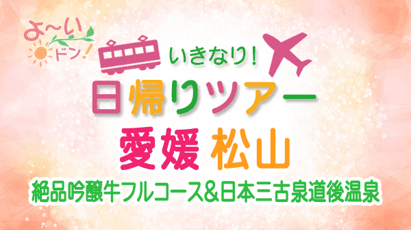 よーいドン いきなり日帰りツアー 愛媛県 松山市 道後温泉