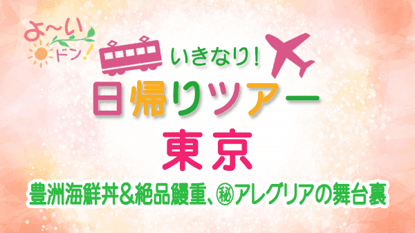 よーいドン いきなり日帰りツアー 東京 豊洲