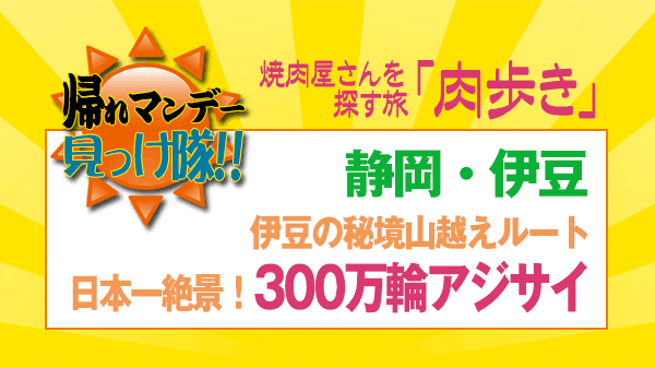 帰れマンデー 静岡 伊豆 焼肉屋 肉歩き 300万輪 アジサイ 金谷旅館