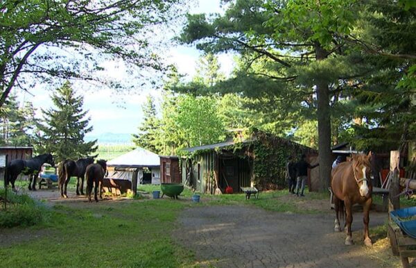 北海道 旭川市 クラークホースガーデン ウエスタン乗馬