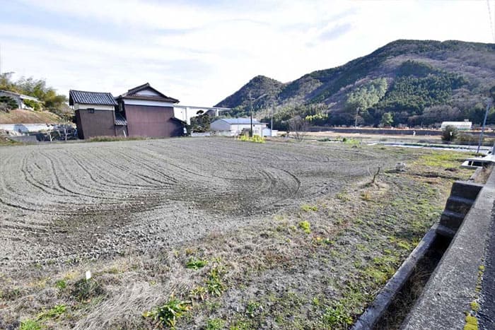 よ～いドン あいLOVE 週末 田舎暮らし 兵庫県 たつの市