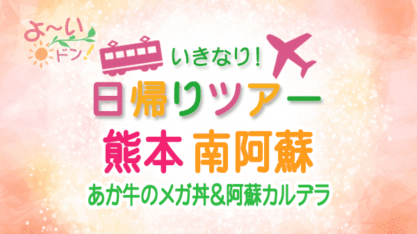 よーいドン いきなり日帰りツアー 熊本 南阿蘇