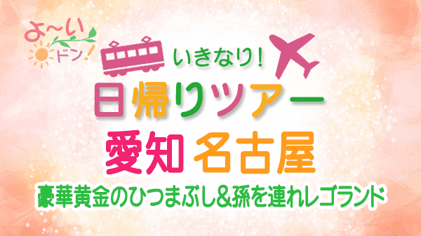 よーいドン いきなり日帰りツアー 愛知県 名古屋