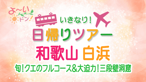 よーいドン いきなり日帰りツアー 和歌山 白浜 南紀白浜