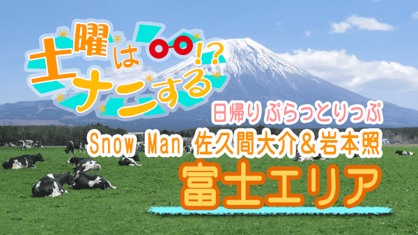 土曜はナニする 日帰り ぷらっとりっぷ Snow Man 佐久間大介 岩本照 富士エリア