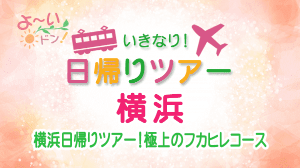 よーいドン いきなり日帰りツアー 横浜