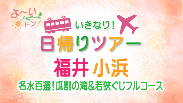 よーいドン いきなり日帰りツアー 福井県 小浜