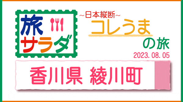 旅サラダ コレうま 香川県 綾川町