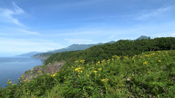 北海道 世界自然遺産 知床