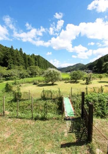 よーいドン あいLOVE 週末 田舎暮らし 兵庫県 丹波篠山市 丹波市