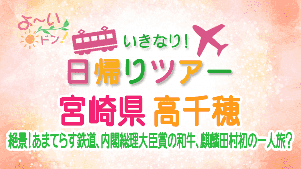 よーいドン いきなり日帰りツアー 宮崎県 高千穂